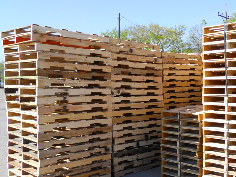 Produzione pallets per ortofrutta Pallets Bertolin